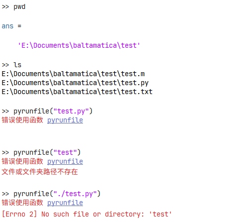 pyrunfile_error.png